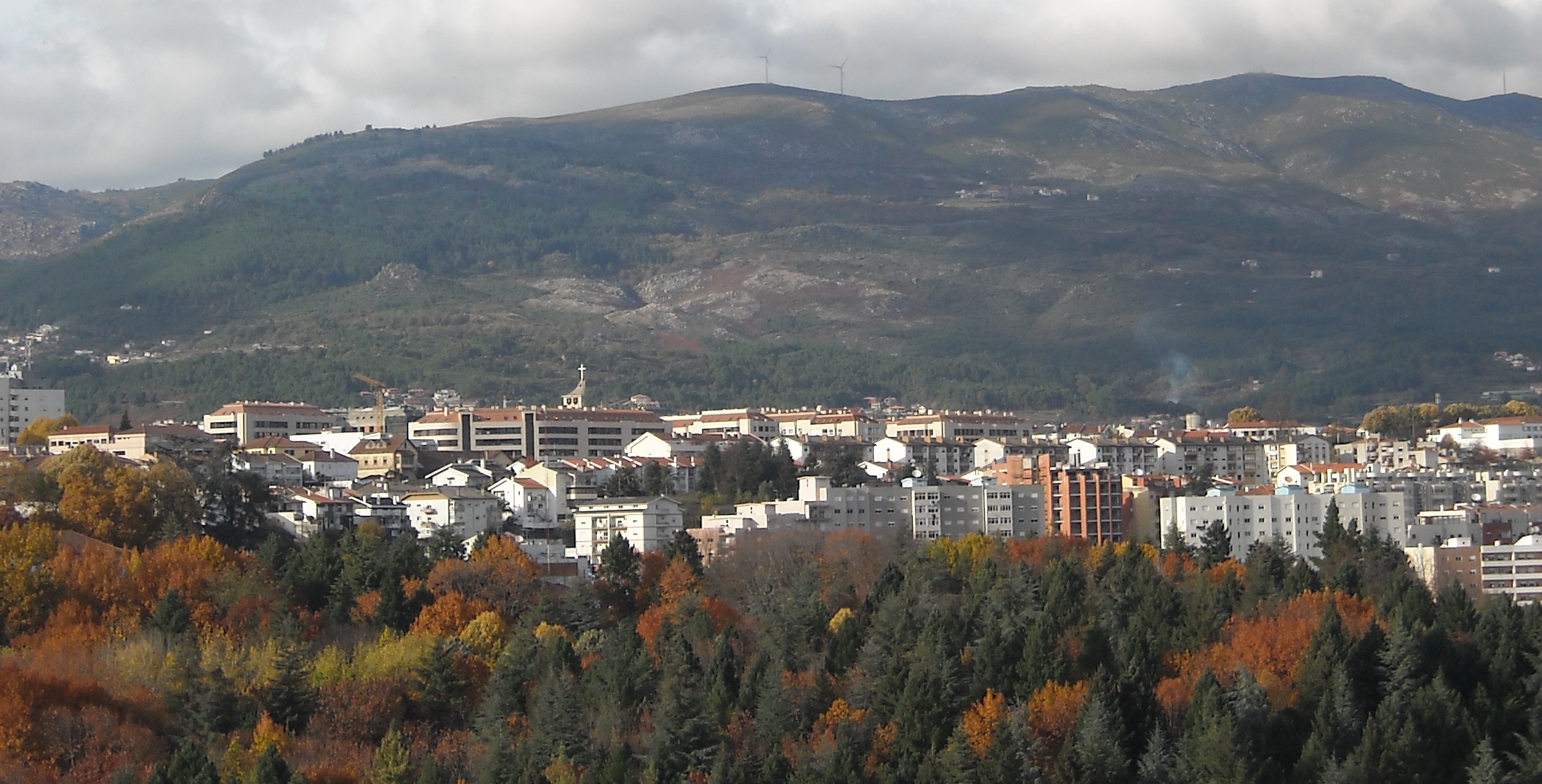 Bem-vindos ao Núcleo Regional de Vila Real